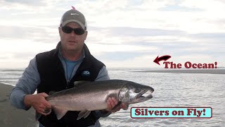 Italio River Alaska Fly Out Trip from the Yakutat Airport Hunting Steelhead and Silver Salmon [upl. by Torre]