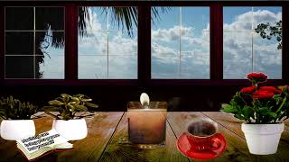 Sip a hot tea relax without any worries  calm down  fall asleep to the sounds crickets and birds [upl. by Butch]