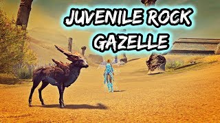 Guild Wars 2 Path of Fire  Soulbeast Pet  Juvenile Rock Gazelle Guide [upl. by Luce]