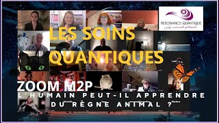 🌞 ZOOM M2P  LES ANIMAUX SONT DE VÉRITABLES GUÉRISSEURS ET MAÎTRES SPIRITUELS [upl. by Neelrihs]