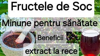 Fructele de Soc  beneficiile uimitoare pentru sanatate Suc din fructe de soc  rețetă [upl. by Thorn]