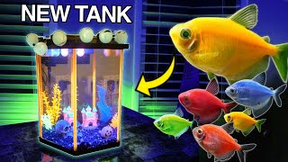 BUYING NEW Fish For AQUARIUM GloFish 👻 [upl. by Aenej]