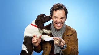 Benedict Cumberbatch Plays With Puppies While Answering Fan Questions [upl. by Lrac309]