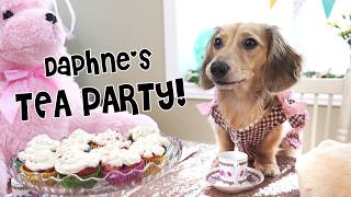 Ep14 Daphne Hosts a CRAZY Tea Party  with Crusoe amp Oakley [upl. by Atelahs]