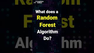 What does a Random Forest Algorithm do  Random Forest explained  Must watch [upl. by Nimsaj]