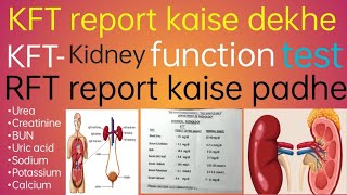 KFT report kaise dekhe  KFTKidney function test  RFT report kaise padhe  kft report kaise samjhe [upl. by Bierman]