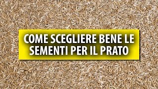 Come Scegliere Bene le Sementi per il Prato [upl. by Novaat]