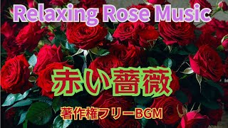 【赤い薔薇 Relaxing Rose Music】薔薇はその美しさと香りから「花の女王」とも呼ばれ、愛や美の象徴として古くから親しまれています。 [upl. by Manfred900]