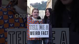 I refuse to beleive this     tellmeafact weirdfact bath fact funfact streetinterview [upl. by Derrik623]