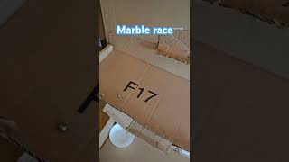 Marble race for kids marble race kids murmelbahn [upl. by Nhguahs]