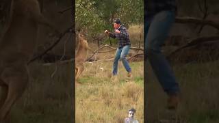 Kangaroo vs man funny animals dog prank comedy smartphone edit automobile alightmotion tro [upl. by Nicky]