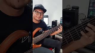 Imaginarme sin ti  Elvis Crespo  Bass cover [upl. by Atterol990]