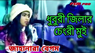 ধুবুরী জিলার চেংরী মুই । Dhuburi jilar chengri mui । Goalparia lokogeet । Jahanara Begum [upl. by Dorella967]