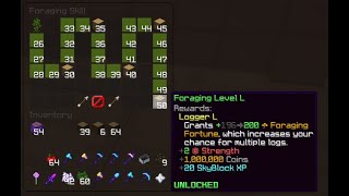 I Got Foraging 50 In Hypixel Skyblock [upl. by Jo-Anne]