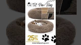 🐶 Best Dog Beds for Ultimate Comfort  Find the Perfect Bed for Your Pup 💤 [upl. by Oneal]