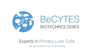 BeCytes Biotechnologies Primary Liver Cells Video [upl. by Htaek]