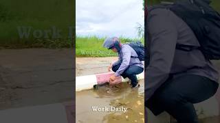 Clearing the Drain Unclogging Storm Drains to Restore Flow [upl. by Inva]