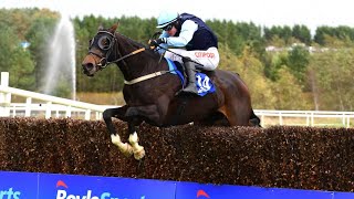 REAL STEEL lands Boylesports Munster National [upl. by Humph16]