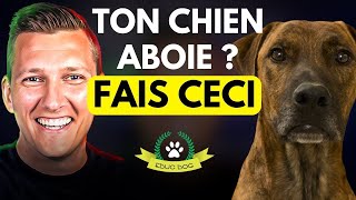 Chien qui aboie  la solution pour lempêcher daboyer  EDUC DOG [upl. by Hisbe347]