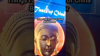 Taste of China Bhubaneswar  Chinese Restaurant Food  Best Food in BBSR [upl. by Zsolway191]