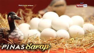 Pinas Sarap Ibat ibang dishes na pinasarap ng balut [upl. by Boot]