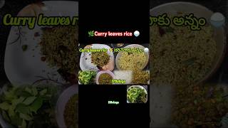 🌿🍚🌾😋Curry leaves rice🍚🌾ytshortsytshortsvideoviralvideo viralshortricerecipericeitemfood [upl. by Aicsila641]