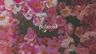 Polaroid  Alisson Shore kiyo noia Official Audio [upl. by Amolap]