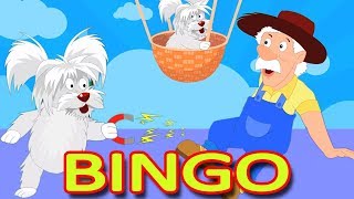 Bingo der Hund  Bauernhof lied  Kinderreime  Bingo The Dog  Dog Song  Rhyme For Kids  Kids Fun [upl. by Euqina]