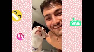 mreviatar tiktok compilationSPECIAL NIKI CHIHUAHUAnikiozeri videosmreviatar Tiktok I Funny Tiktok [upl. by Ydollem561]