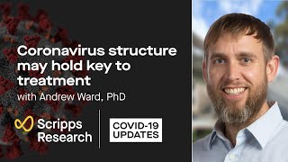 Coronavirus structure may hold key to treatment Scripps Research COVID19 updates [upl. by Westbrooke]