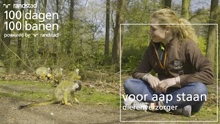 Aan de slag als dierenverzorgster in Apenheul  Randstad  Dag 33 [upl. by Emery247]