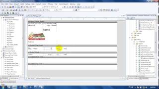 How to Create Crystal Report In VB NET 2008 [upl. by Ahsilet]