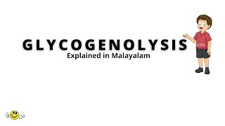 GLYCOGENOLYSISMalayalamglycogen breakdown [upl. by Naellij]