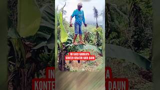 Netizen Tercengang Melihat Pria Naik Daun Pisang [upl. by Nanete578]