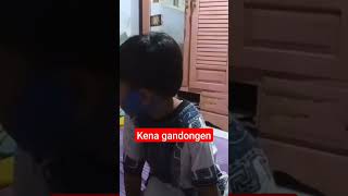 obat paling mujarab kena Penyakit Gandongen 😀😀😀 cover [upl. by Battiste553]