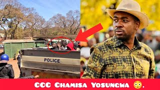 CCC Chamisa Brutally Abused Azvipere Mushe 😳 [upl. by Kancler]