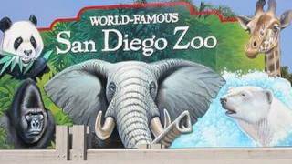 Visiting The San Diego Zoo in HD [upl. by Enilrek228]