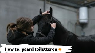 HOW TO paard toiletteren  20  Epplejeck [upl. by Warenne]