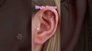 6 Types of Tragus Piercings [upl. by Anawed92]