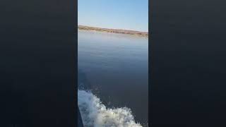 Chobe river Namibia 🇳🇦 Botswana nature gondwanavideo adventure [upl. by Ennaeirrac]