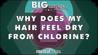 Why does my hair feel dry from chlorine  Big Questions  Ep 205 [upl. by Duck248]