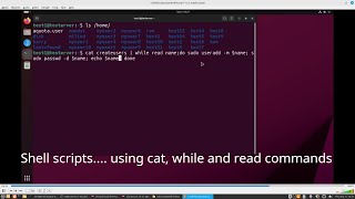 Shell script with a while loop [upl. by Amelia]