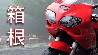 神奈川 箱根のいろんな道を走る  Suzuki SV400S VTwin Sound [upl. by Akenna]