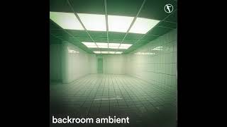 backroom ambient playlist [upl. by Bueschel]