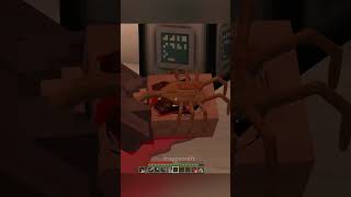 Minecraft Meme [upl. by Montagu]