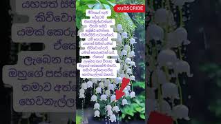 ධම්ම පදය යමක වග්ගය 2 වන ගථාව [upl. by Avon914]