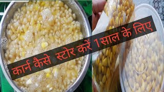 How to Store Corn भुट्टे को कैसे स्टोर करे साल भर के लिए  how to preserve cornFreeze Corn Recipe [upl. by Alrahc73]