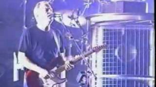 Pink Floyd  Comfortably Numb Pulse 1994 Live [upl. by Scrope834]