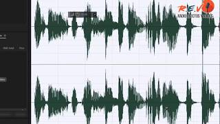 TUTORIAL Ecualizar Adobe Audition 2019 [upl. by Denver]