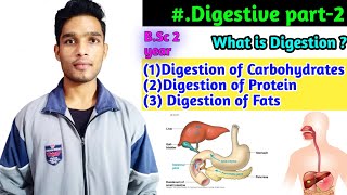 What is DigestionDigestion of CarbohydratesFats and ProteinsDigestion of foodBSc 2year [upl. by Suoicerp317]